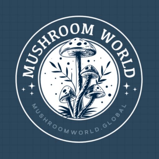 Fresh Gourmet Mushrooms