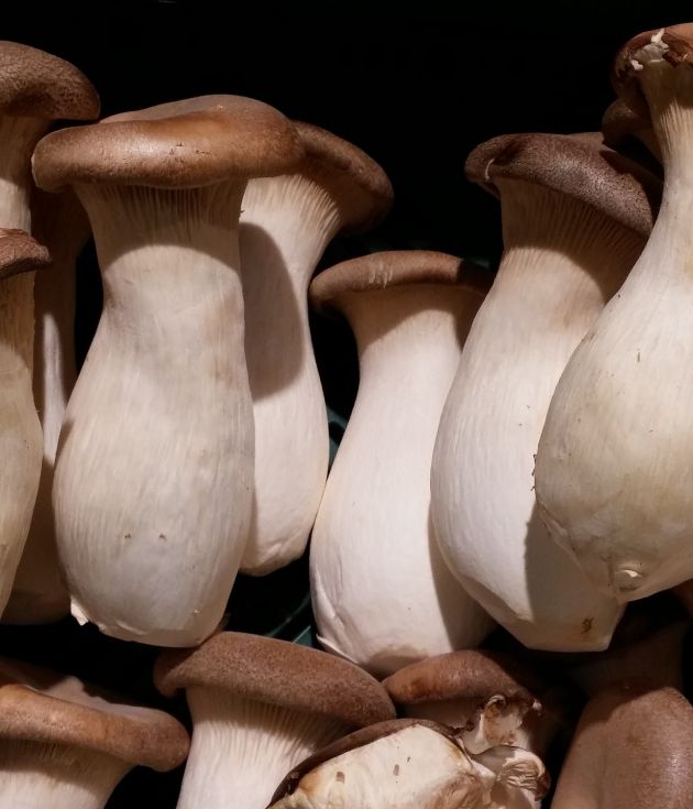 King Oyster Mushrooms