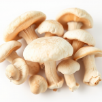 Sporeless Oyster Mushrooms